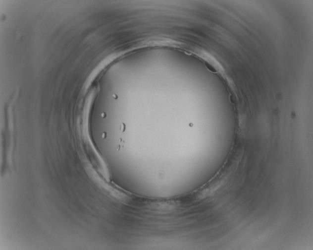 X0000075840947200610061844