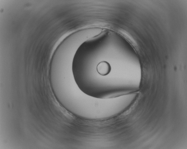 X0000075840948200610061844