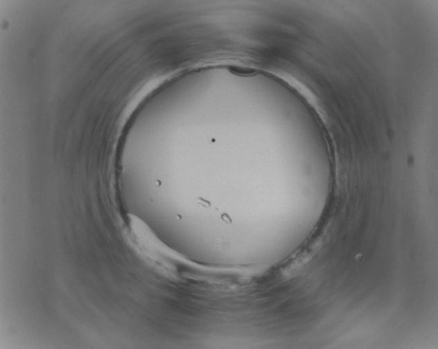 X0000075840949200610061844