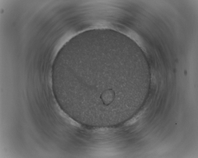 X0000075840950200610061844