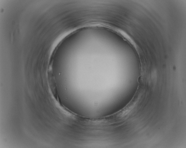 X0000075840951200610061844