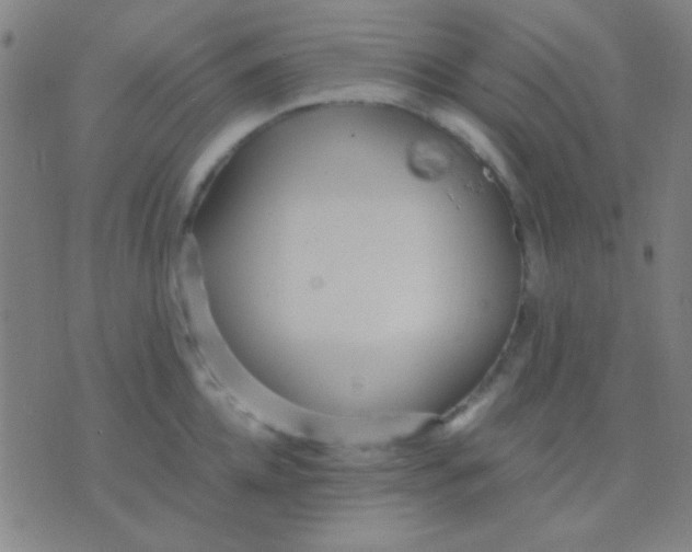 X0000075840952200610061844