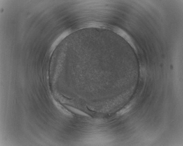 X0000075840954200610061844