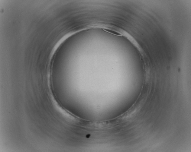 X0000075840955200610061844