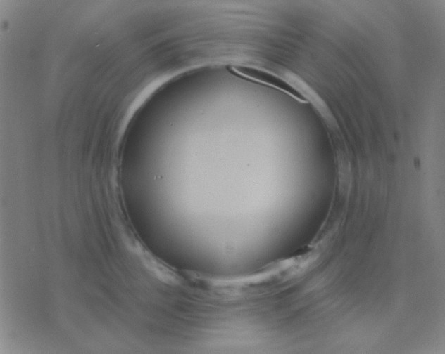 X0000075840956200610061844