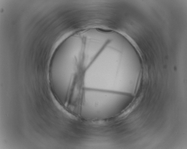 X0000075840957200610061844