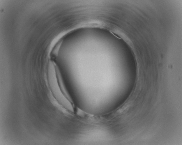 X0000075840960200610061844