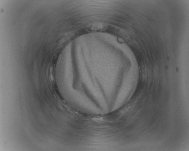 X0000075840962200610061843