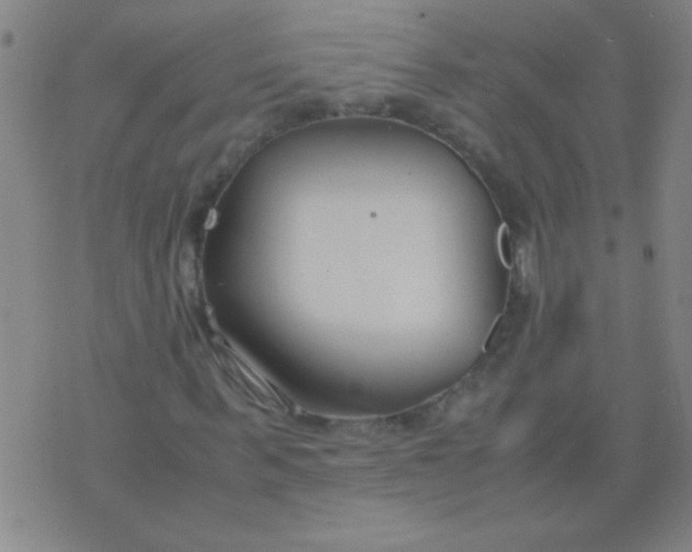 X0000075840963200610061843