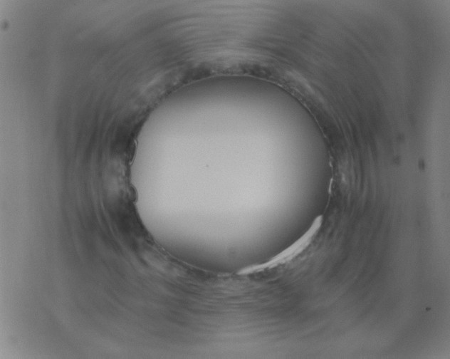 X0000075840964200610061843