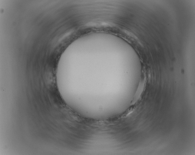 X0000075840966200610061843