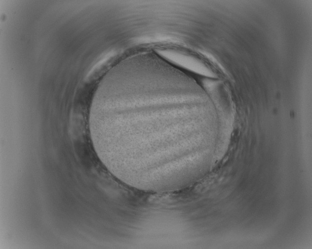 X0000075840967200610061843