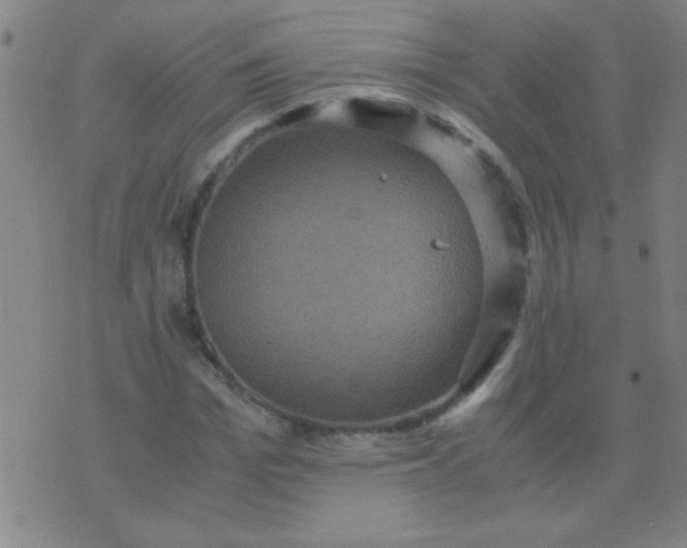 X0000075840969200610061843