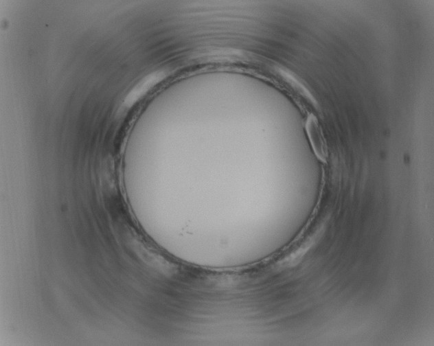 X0000075840970200610061843