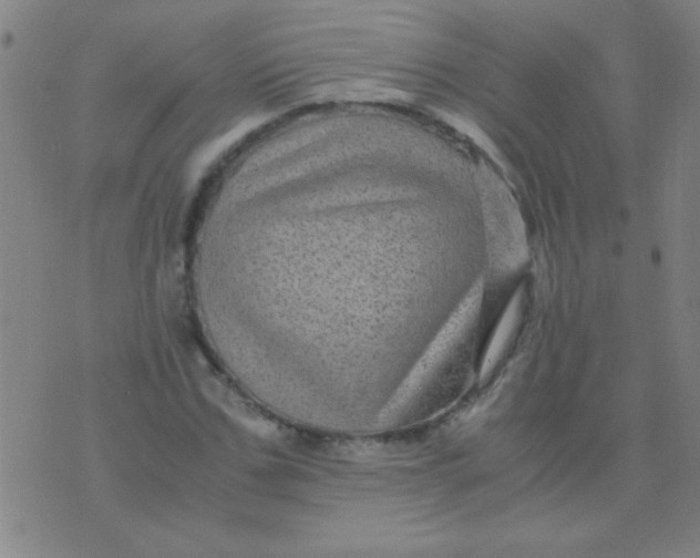 X0000075840971200610061843