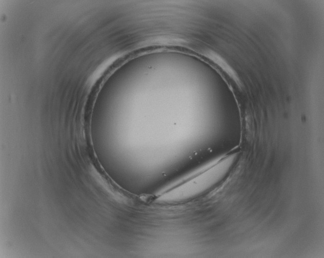 X0000075840972200610061843