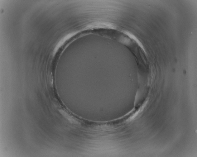 X0000075840973200610061843