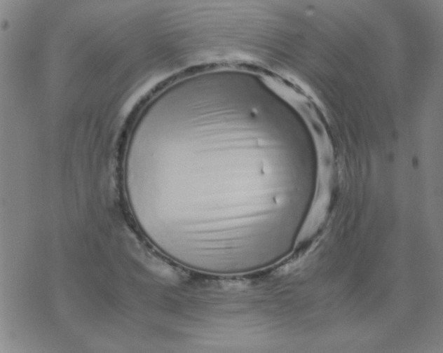 X0000075840975200610061843