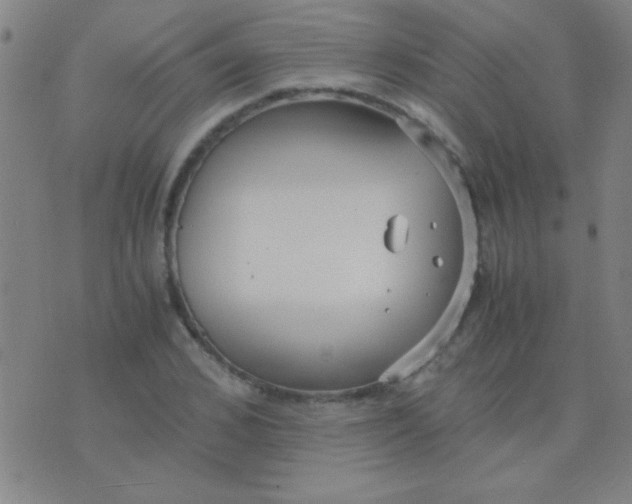 X0000075840976200610061843