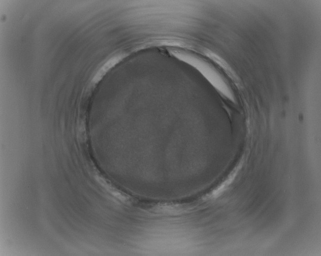 X0000075840977200610061843