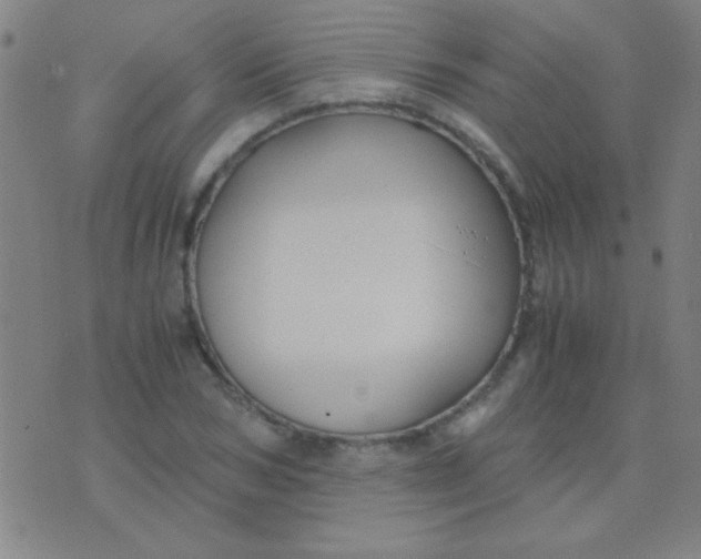 X0000075840978200610061843