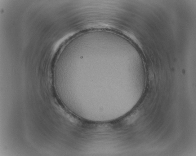 X0000075840979200610061843