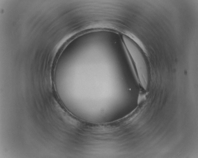 X0000075840980200610061843