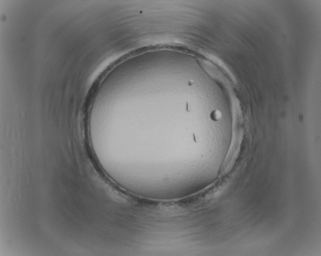 X0000075840983200610061843