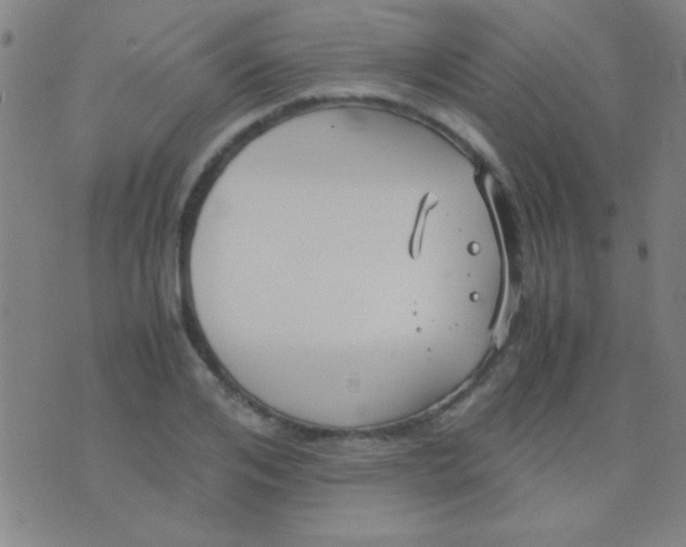 X0000075840984200610061843