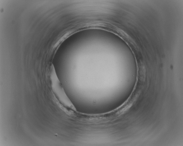 X0000075840985200610061843