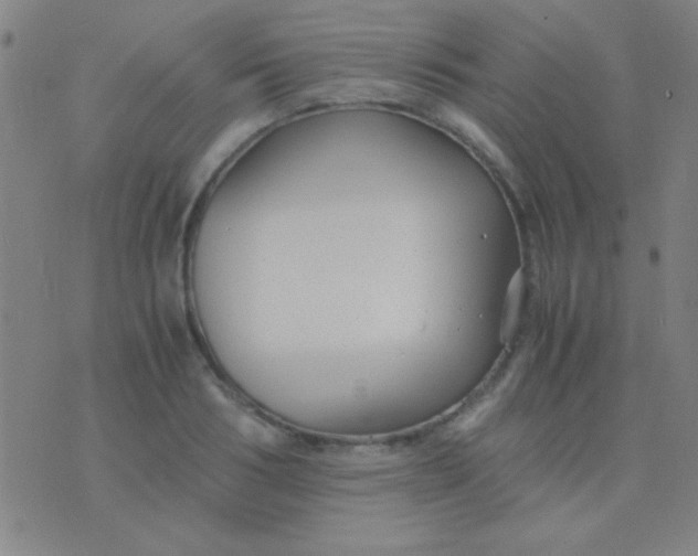 X0000075840986200610061843