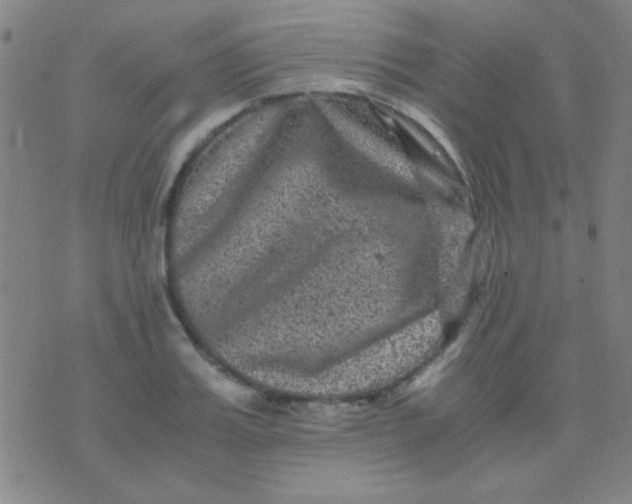 X0000075840987200610061843