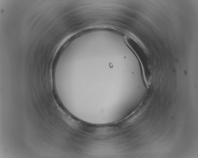 X0000075840988200610061843