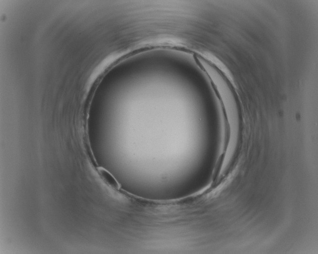 X0000075840989200610061843