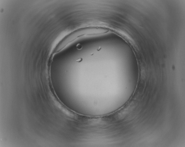 X0000075840990200610061843