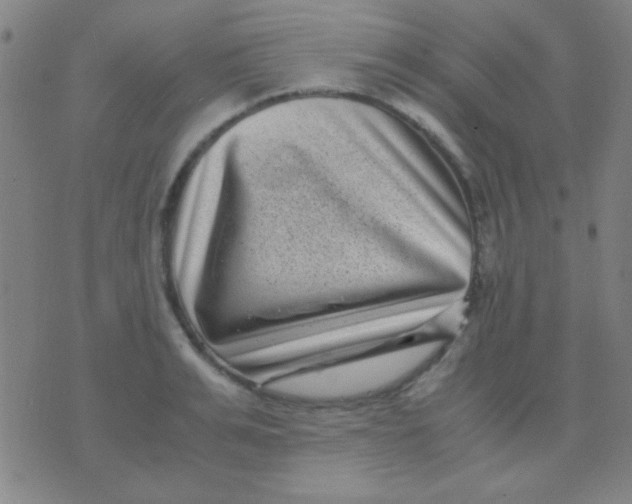 X0000075840991200610061843