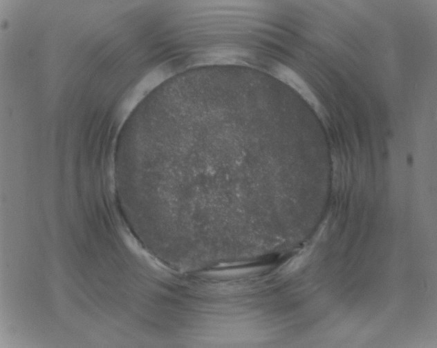 X0000075840994200610061842