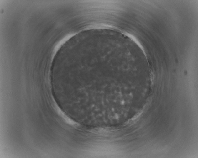 X0000075840995200610061842