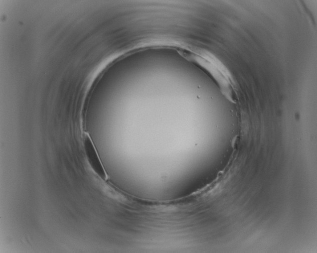 X0000075840996200610061842