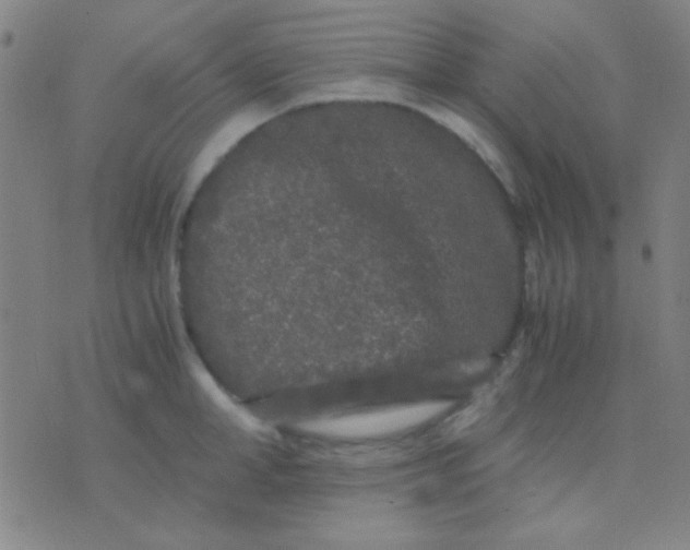 X0000075840998200610061842