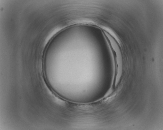 X0000075840999200610061842