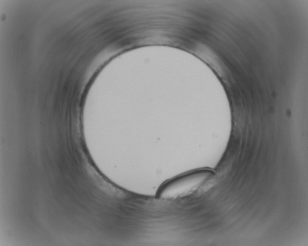 X0000075841000200610061842