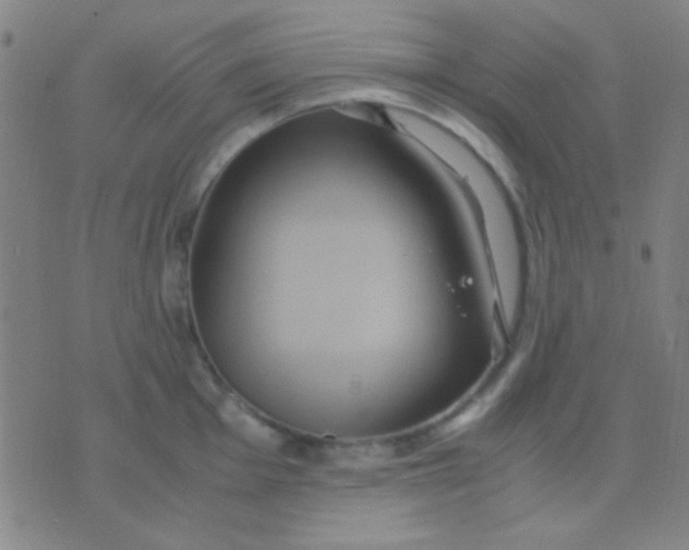 X0000075841001200610061842