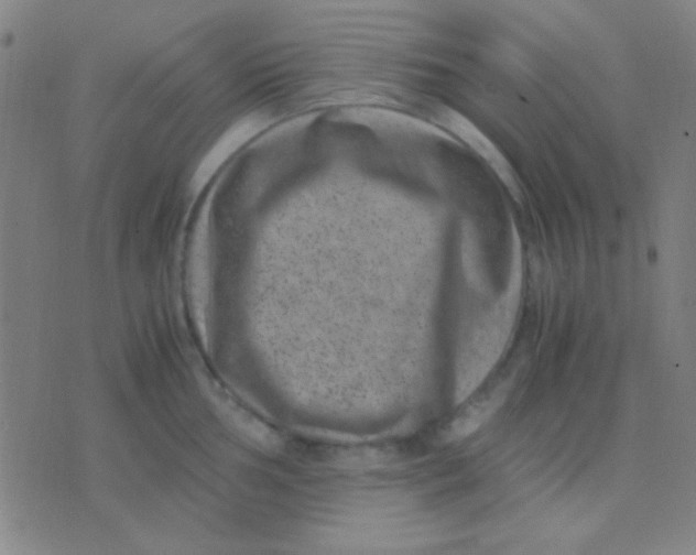 X0000075841002200610061842