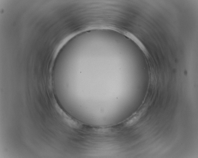 X0000075841004200610061842