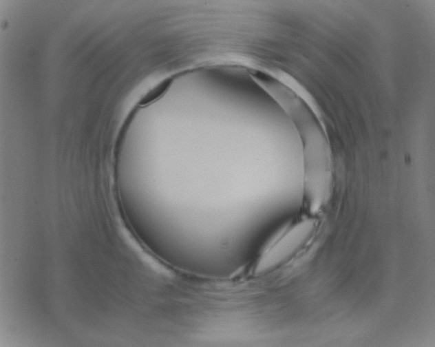 X0000075841005200610061842