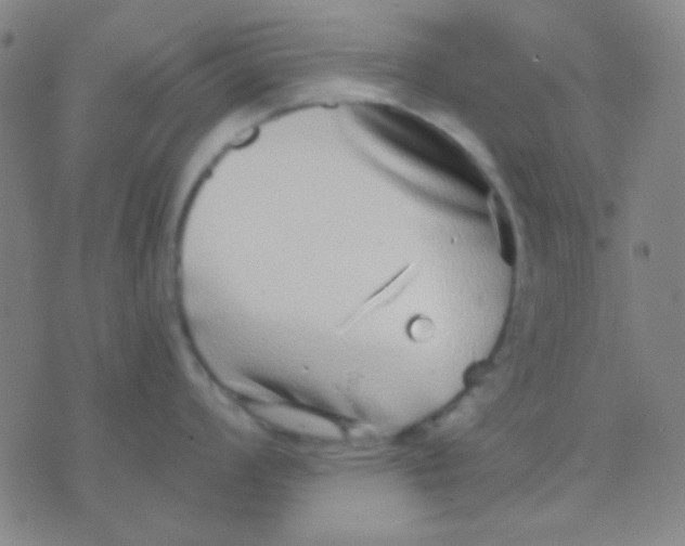 X0000075841008200610061842