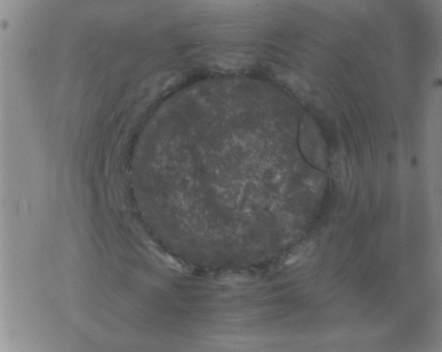 X0000075841009200610061841