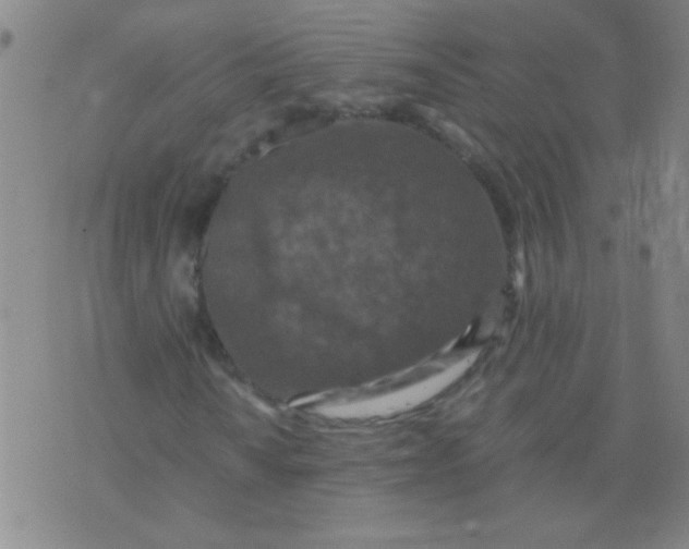 X0000075841010200610061841