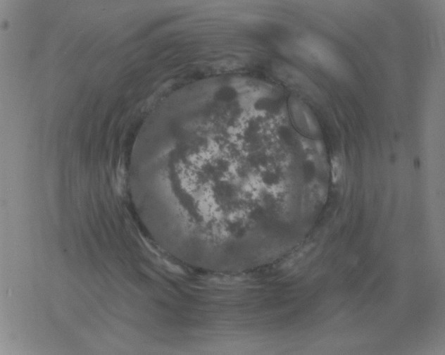 X0000075841011200610061841